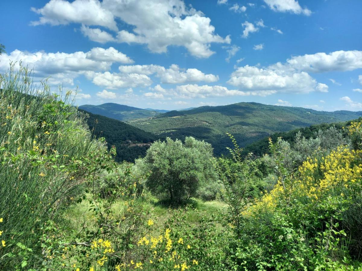 Valle Dame Cortona Exteriér fotografie