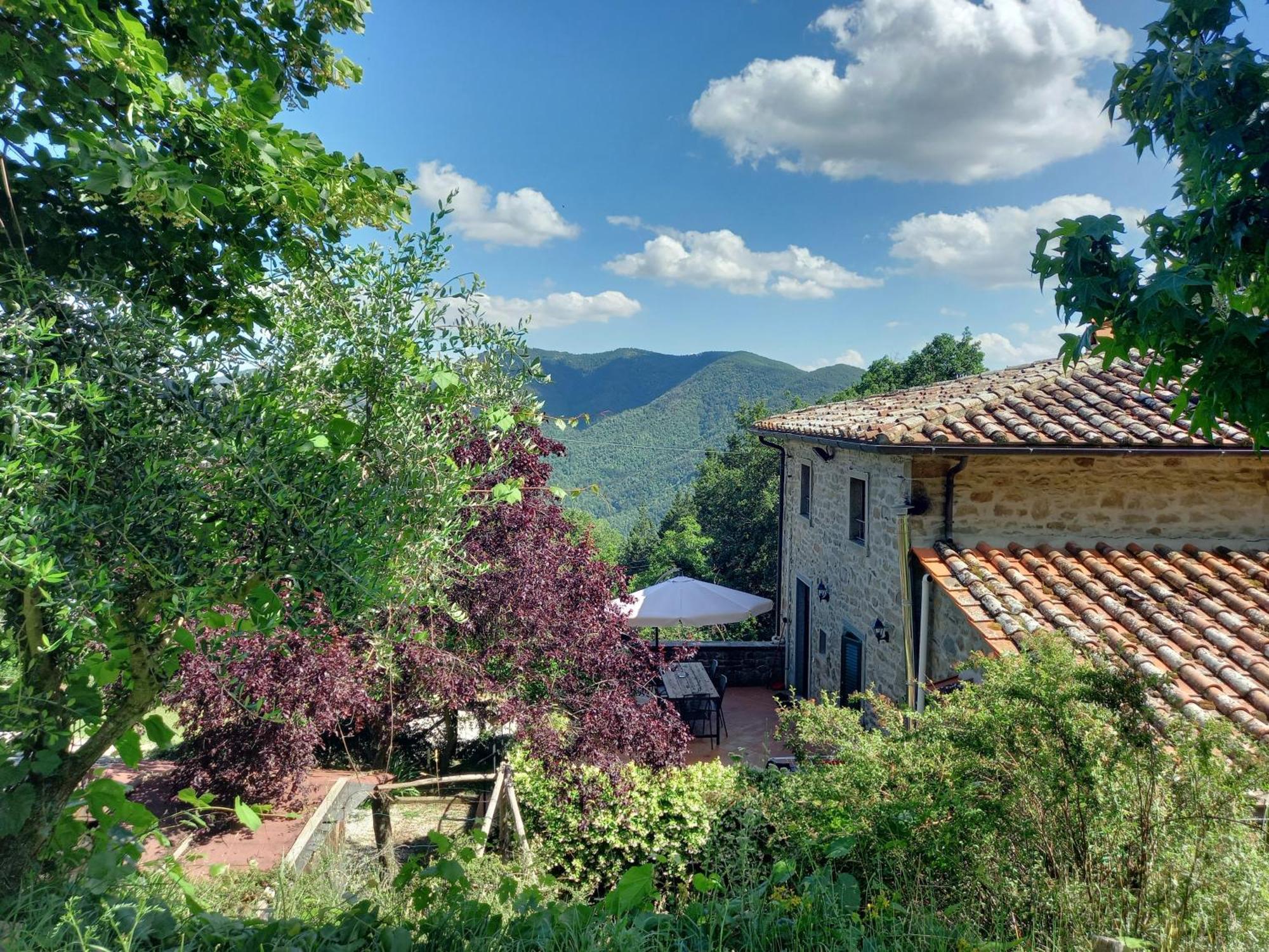 Valle Dame Cortona Exteriér fotografie