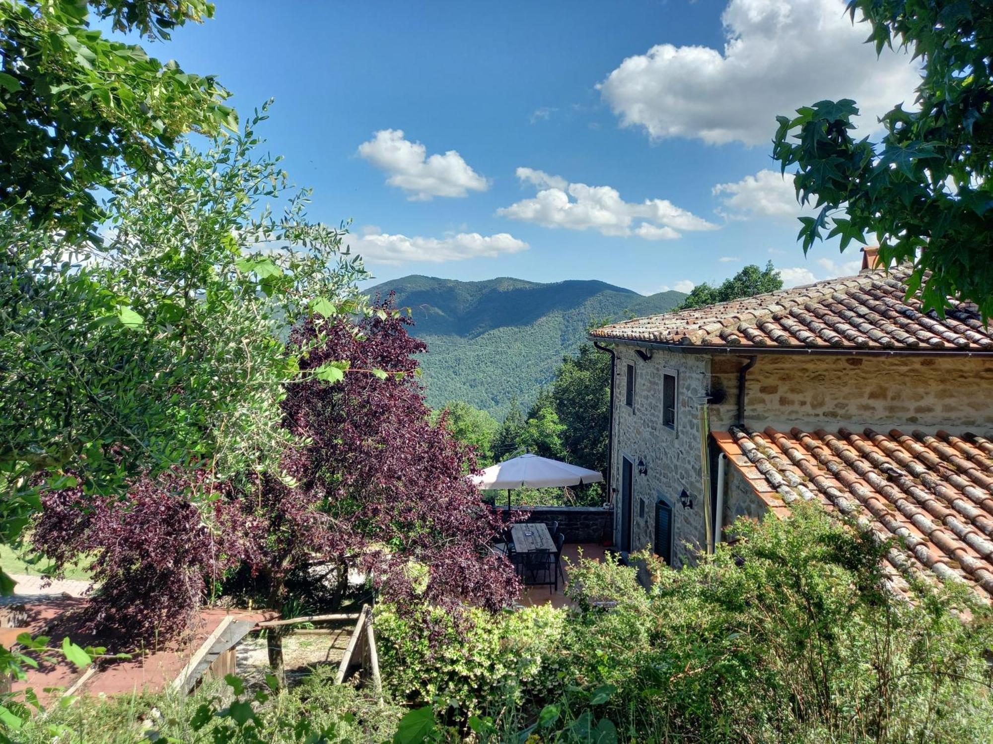 Valle Dame Cortona Exteriér fotografie