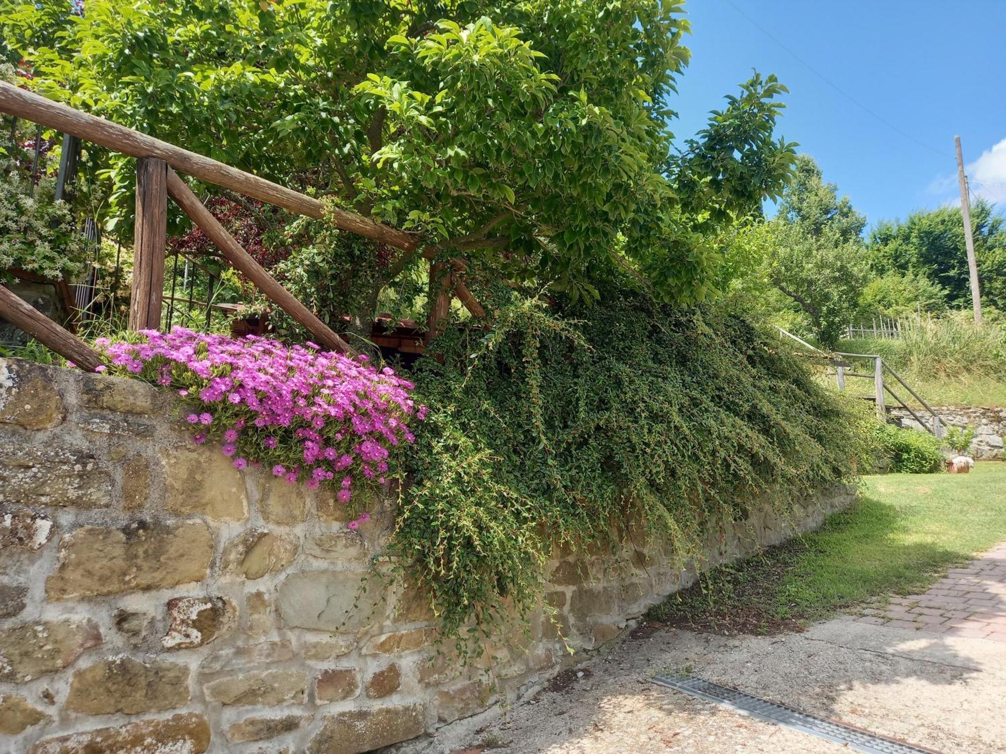 Valle Dame Cortona Exteriér fotografie