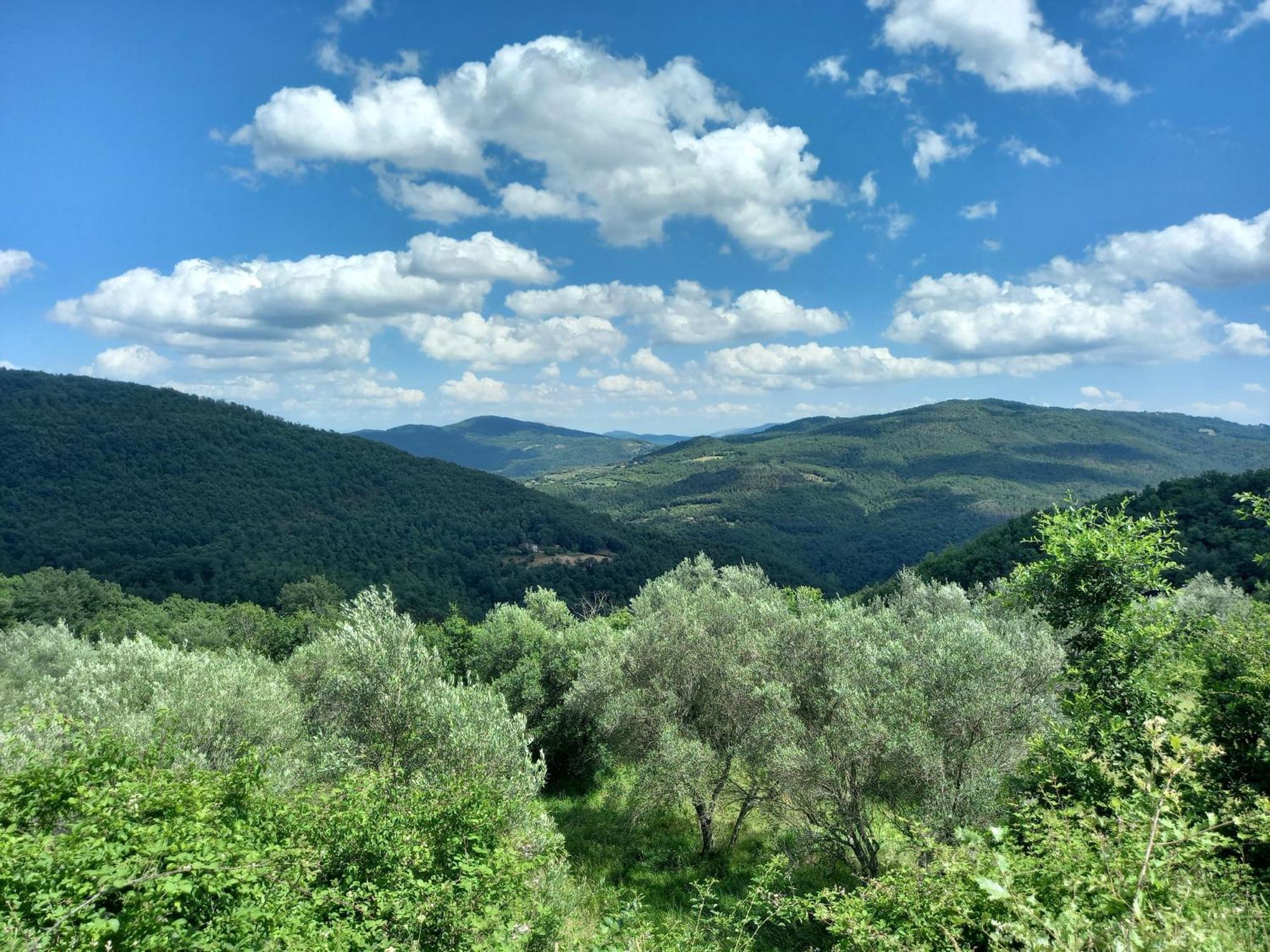 Valle Dame Cortona Exteriér fotografie