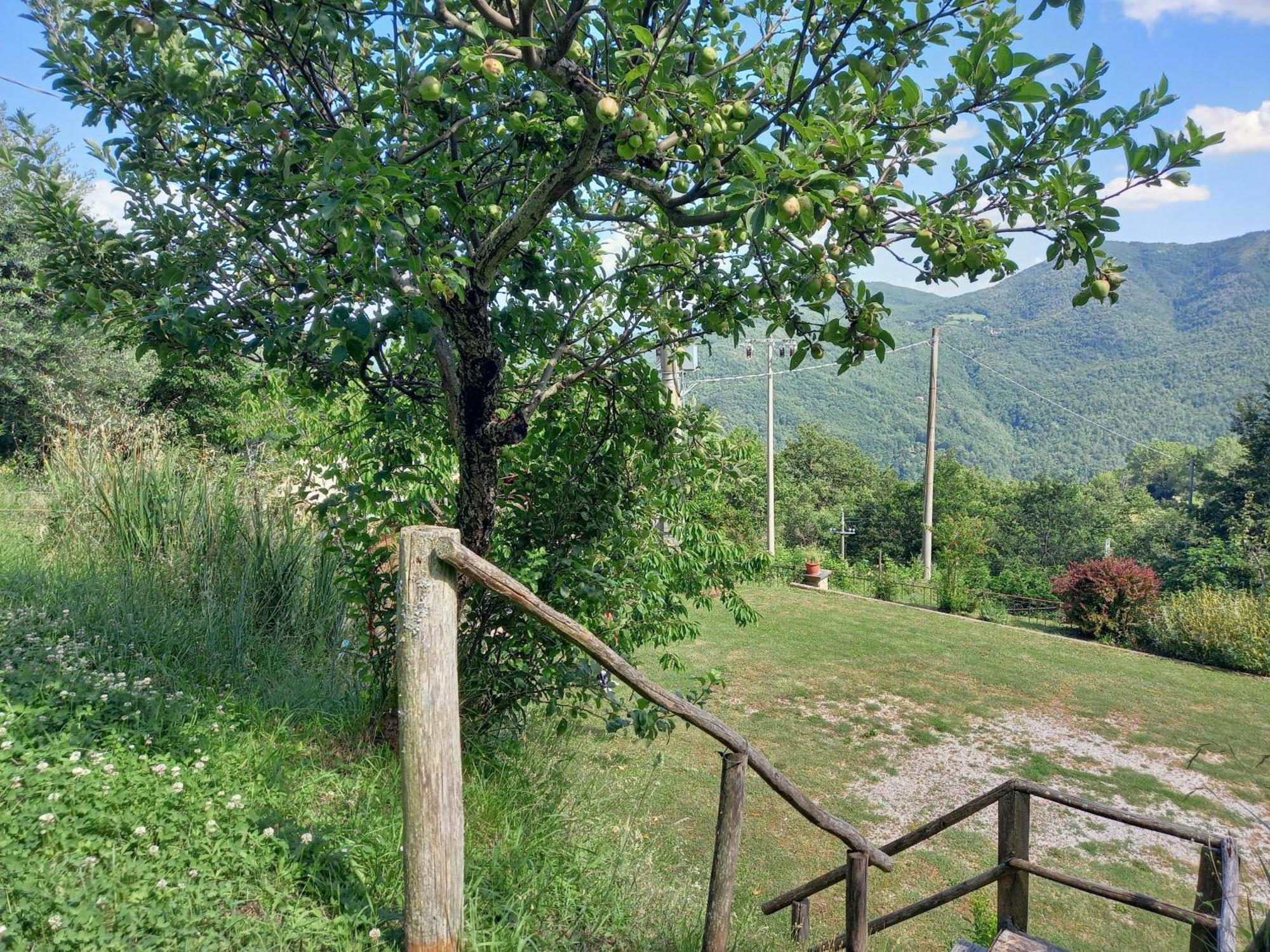 Valle Dame Cortona Exteriér fotografie