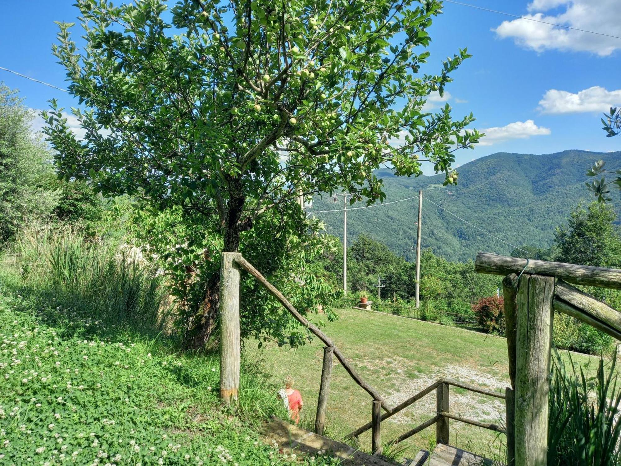 Valle Dame Cortona Exteriér fotografie